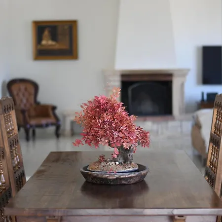 Casa Di Mare Hébergement de vacances *